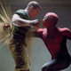 Illustration for article titled Spider-Man 5 And 6 Screenplays Already Being Written?
